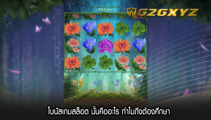 โบนัสเกมสล็อต นั้นคืออะไร ทำไมถึงต้องศึกษา