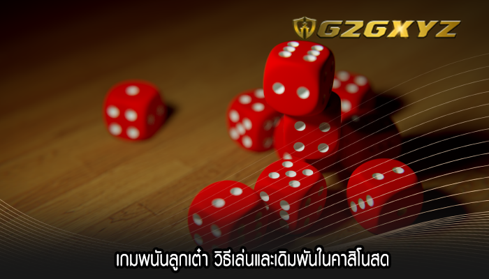 เกมพนันลูกเต๋า วิธีเล่นและเดิมพันในคาสิโนสด